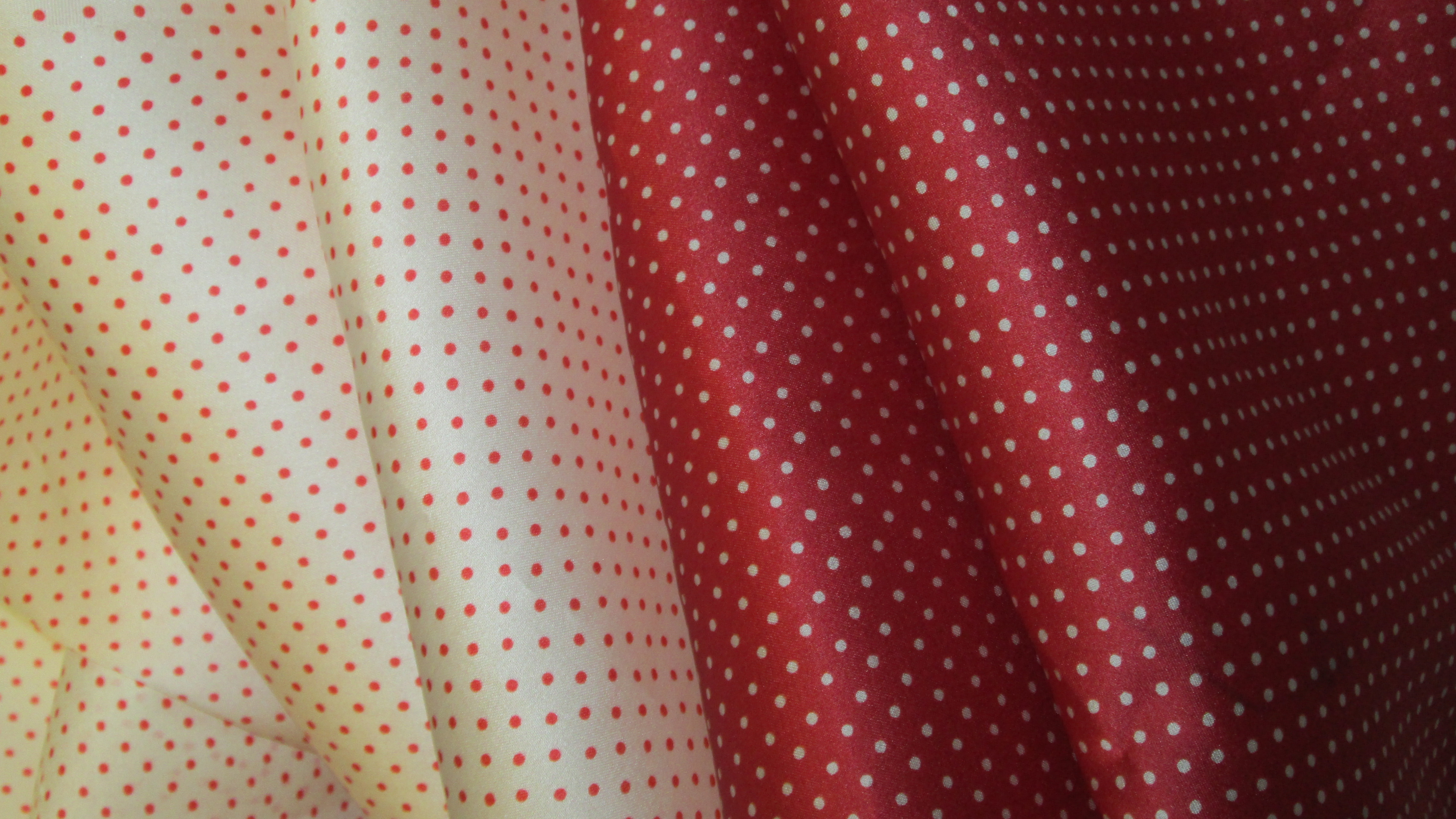 Dot silk organza